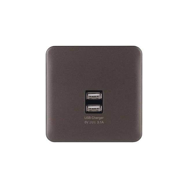 Schneider Electric Lisse GGbl70042bmbs Single Wall Plate with 2 USB Charging Por