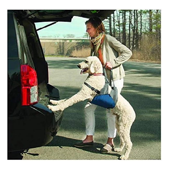 Kurgo Hundelifthilfe ergonomisches Design für Hunde 23-41 kg Unterstützung beim Treppensteigen und Autofahren