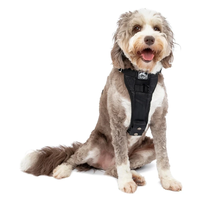 Kurgo TruFit Hundegeschirr - Crashtesterprobt - Sicherheitsgurt für Hunde - Größe L - Schwarz