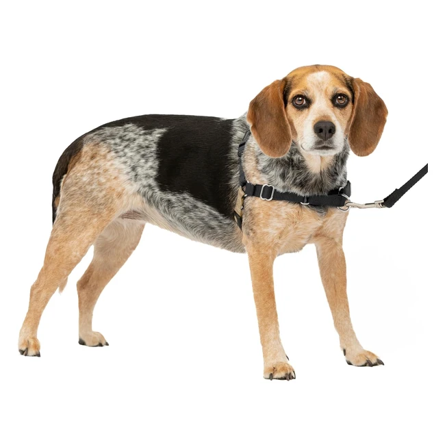 PetSafe Easy Walk Harness No-Pull Walking Harness for Dogs - Adjustable Fit - 18