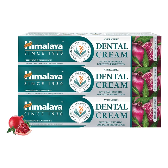 Himalaya Ayurvedic Dental Cream Herbal Toothpaste with Neem & Pomegranate 100g Pack of 3 - Fight Plaque & Protect Gums