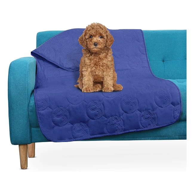 Coperta Impermeabile Pawsse per Cani 125x75 cm Antiscivolo