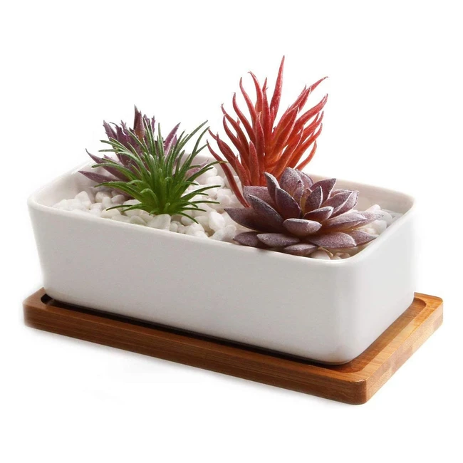 Vaso per piante 165cm ceramica T4U con vassoio - Ideale per succulente, erbe, cactus