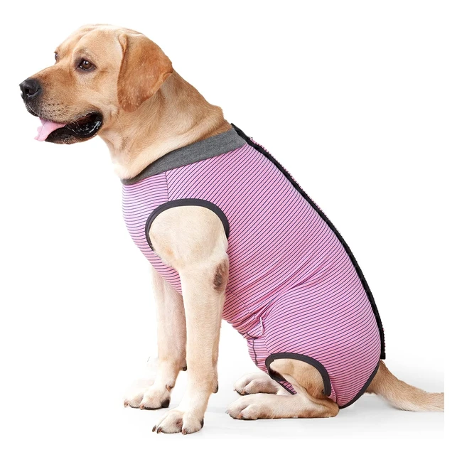 Heywean Dog Recovery Suit Spay Suit for Female Dog Bodysuit After Surgery