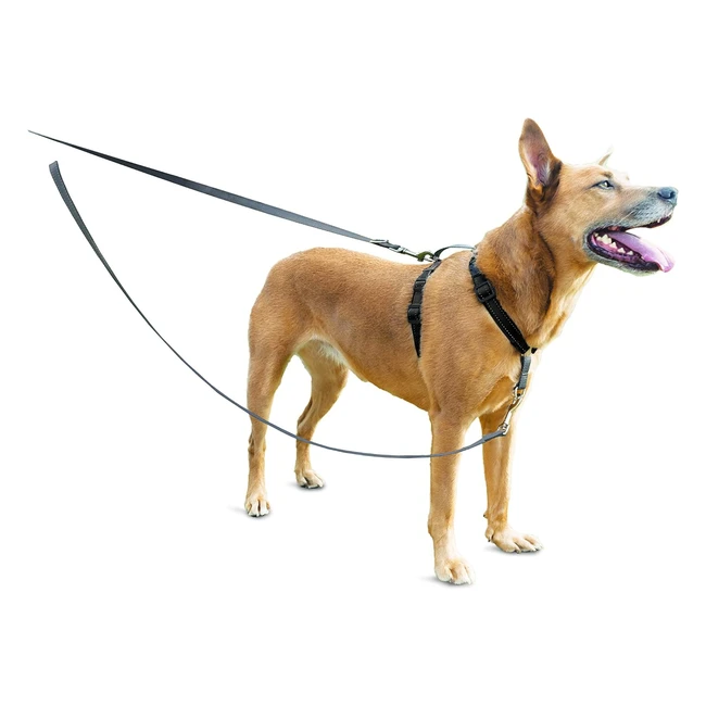 Petsafe Anti-Pull Dog Lead - Reflective Nylon - 12m Single Lead - Control and Comfort