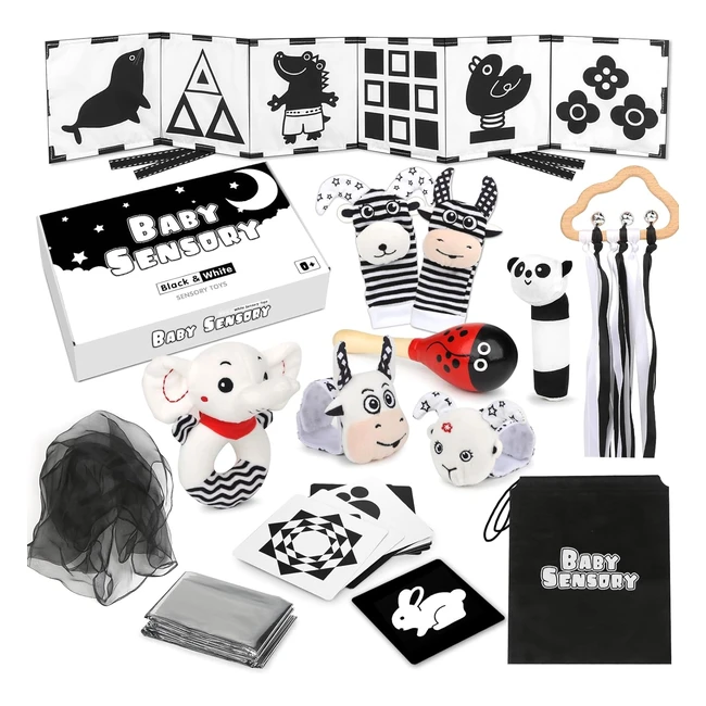 Joyreal Baby Sensory Toys 13 Pcs Black and White Sensory Toys 06 Months - Foil Blanket, Cards, Rattles, Scarf, Maracas - Newborn Gifts