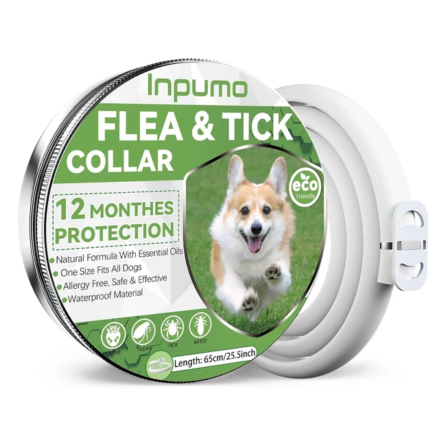 Collar Antiparasitario Perros Inpumo 12 Meses de Protección Eficaz Contra Pulgas y Garrapatas