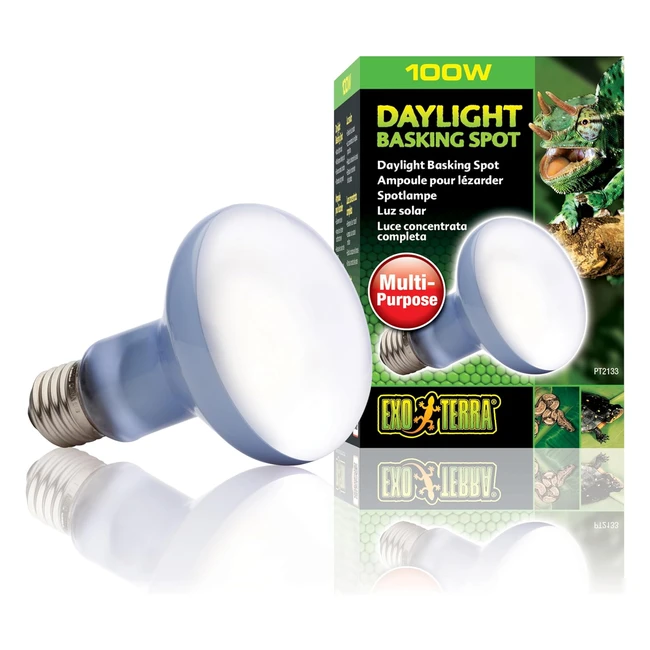 Exo Terra Daylight Basking Spot Bulb 100W - Ideal for Plants Photosynthesis  Re
