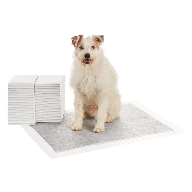 Amazon Basics Carbon Training Pads XL 50 Count - Odour Control, Super Absorbent, Leakproof