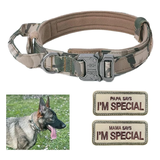 Collare per cani regolabile tattico in nylon K9 L Grey