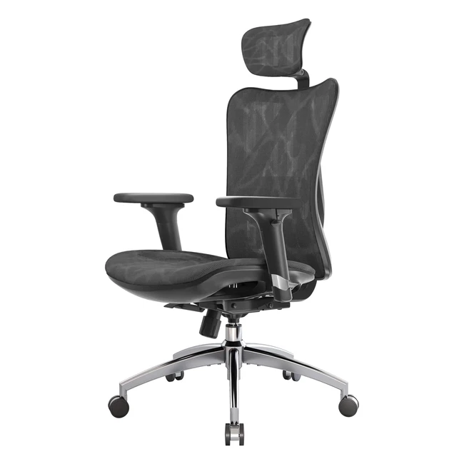 Sihoo Ergonomic Office Chair Mesh Desk Chair Adjustable Lumbar Support 3D Armres
