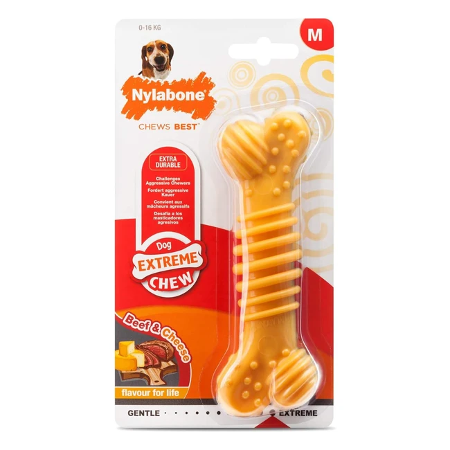 Nylabone Extreme Tough Dog Chew Toy Bone - Durable Nylon - Cleans Teeth - Beef 