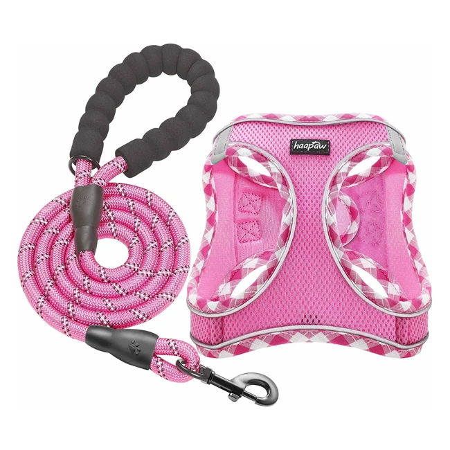 Haapaw Dog Harness  Lead Set No Pull Reflective Step-In Puppy Vest XS-SM-MD