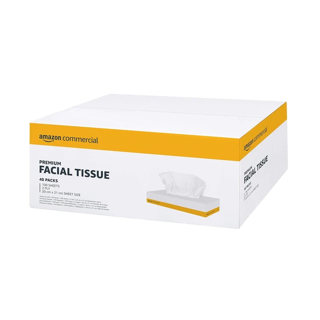 AmazonCommercial Facial Tissues 2-Ply Premium 4000 Sheets - 40 Packs